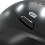 Klip Xtreme Duotrak Mouse Ergonómico Inalámbrico USB 1600 DPI Blanco - ID011KLX24 - Imagen 3