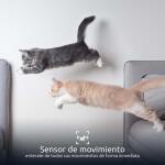 Dispensador Inteligente de Alimentos para Mascotas Wi-Fi con Cámara 2K - Imagen 5